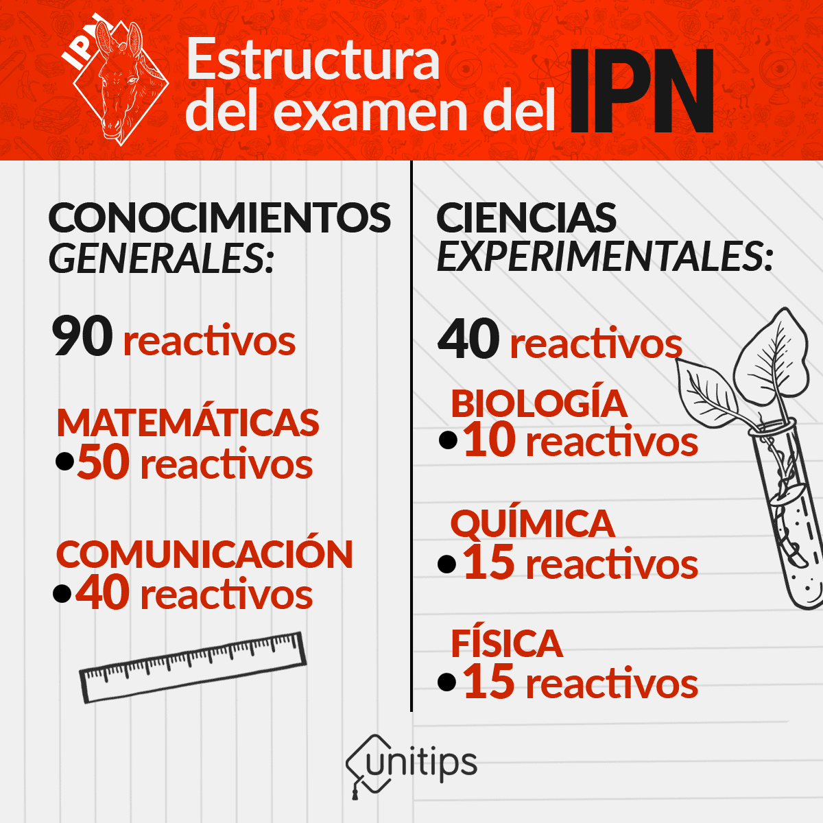 Estructura Del Examen Del IPN